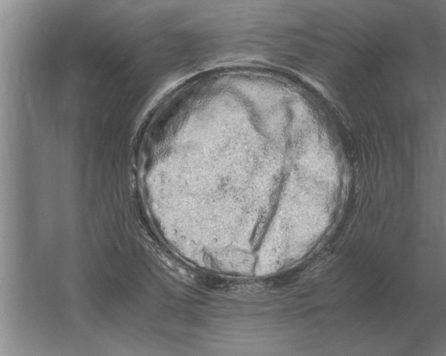 X0000062171363200512301634