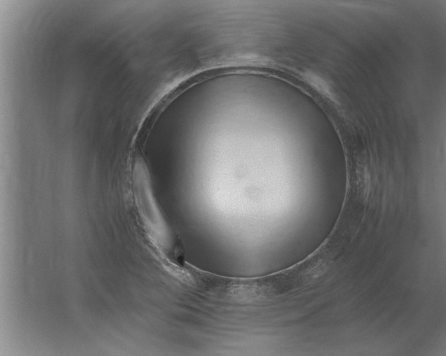 X0000062171364200512301634