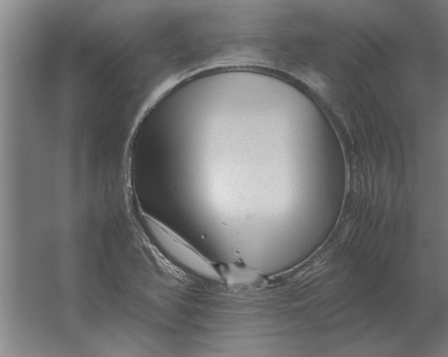 X0000062171366200512301634