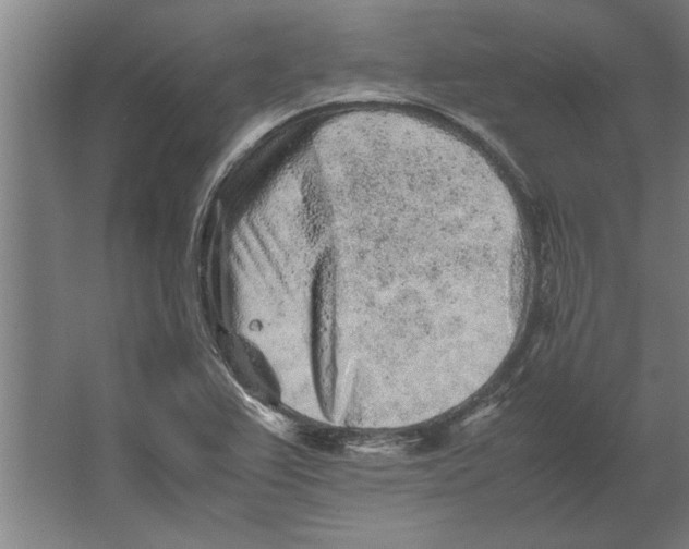 X0000062171367200512301634