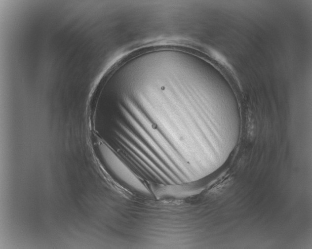 X0000062171368200512301634