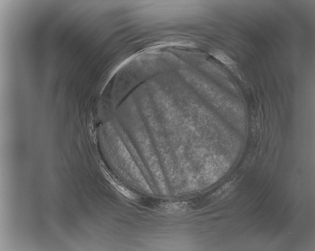 X0000062171369200512301634