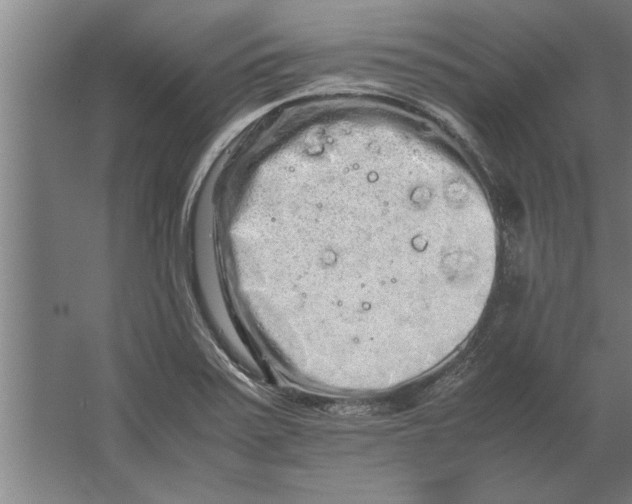 X0000062171371200512301634