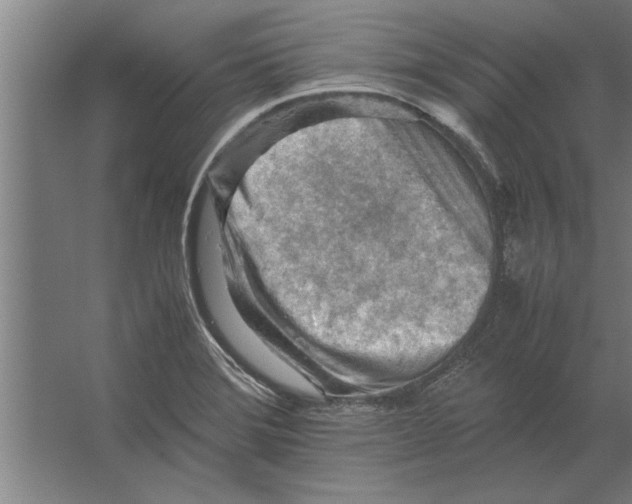 X0000062171372200512301634