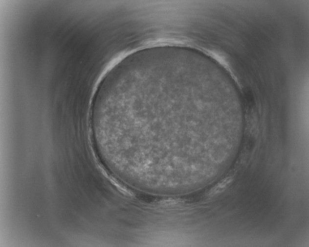 X0000062171373200512301634