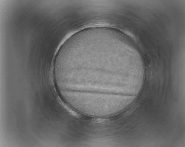 X0000062171374200512301634