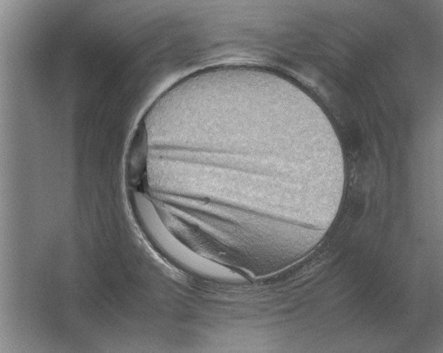 X0000062171375200512301634