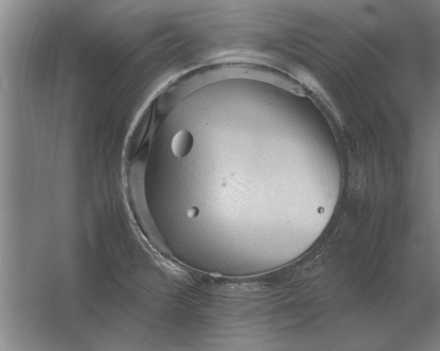 X0000062171376200512301634