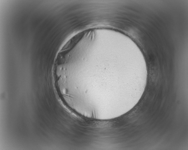 X0000062171382200512301634