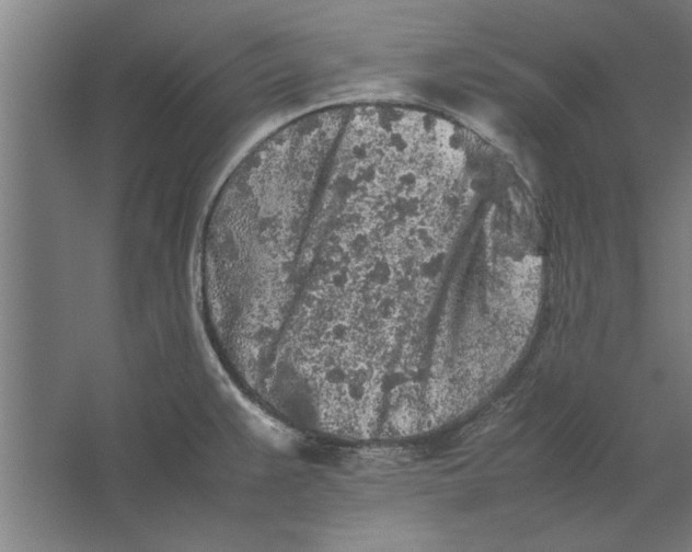 X0000062171383200512301634