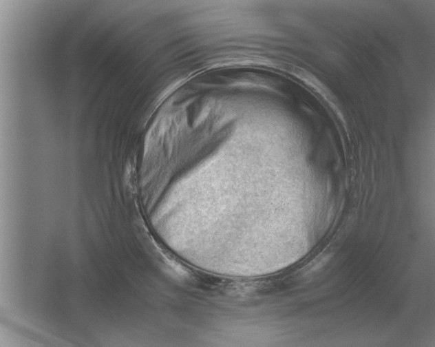 X0000062171385200512301634