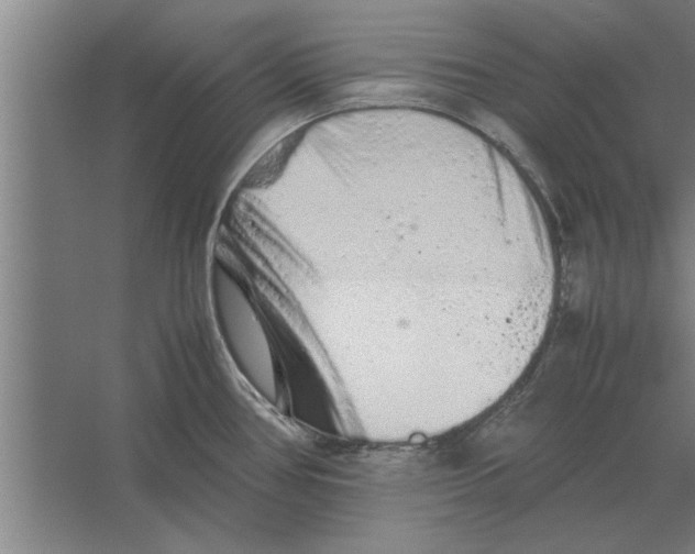 X0000062171386200512301634