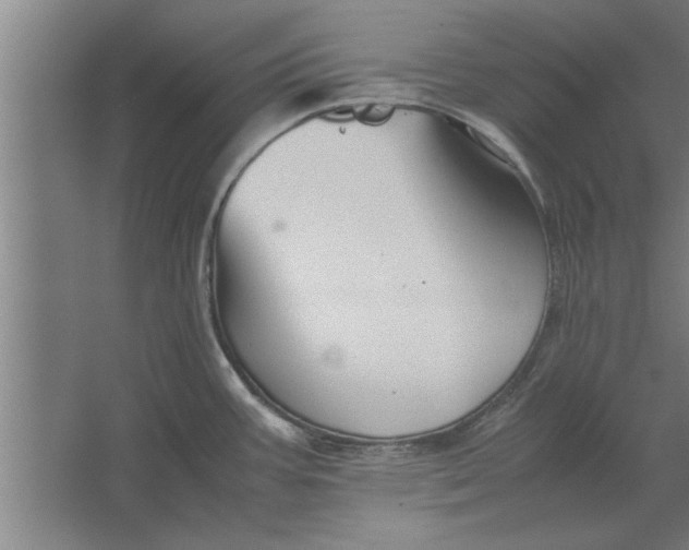 X0000062171387200512301634