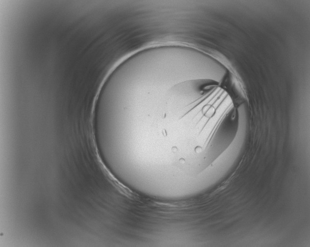 X0000062171388200512301634