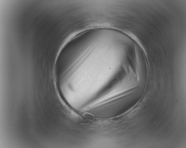 X0000062171389200512301634