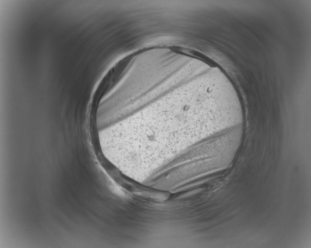 X0000062171392200512301634