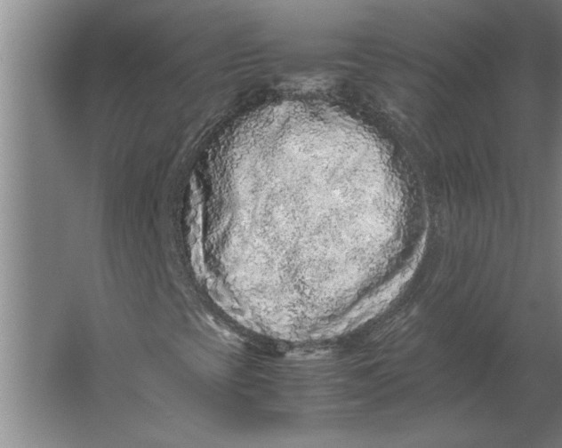 X0000062171393200512301633