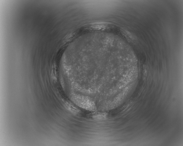 X0000062171394200512301633