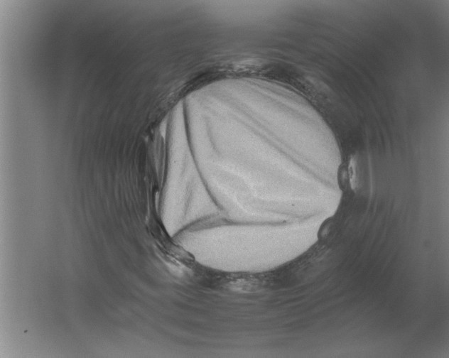 X0000062171395200512301633