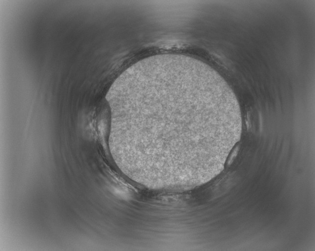 X0000062171396200512301633