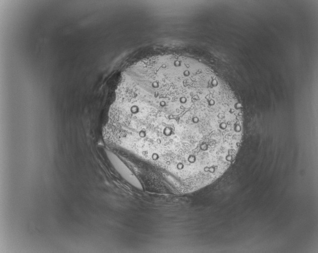 X0000062171397200512301633