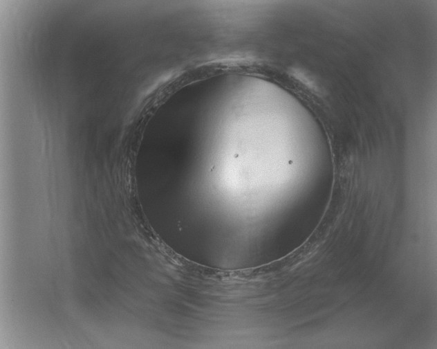 X0000062171398200512301633