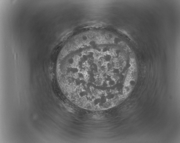 X0000062171399200512301633