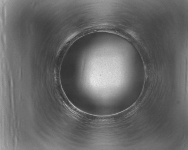 X0000062171402200512301633