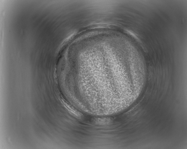 X0000062171403200512301633