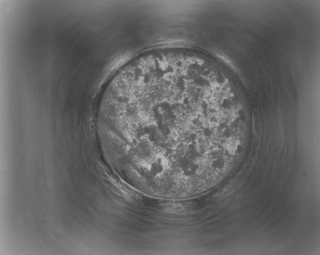 X0000062171405200512301633