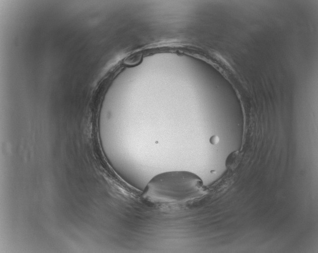 X0000062171406200512301633