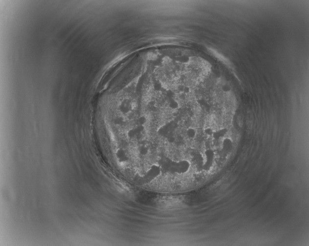 X0000062171411200512301633