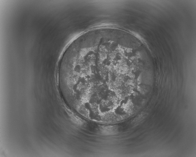 X0000062171413200512301633