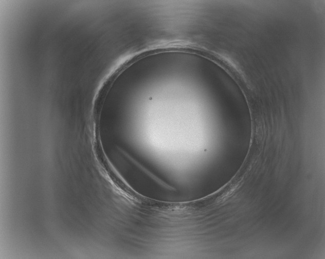 X0000062171414200512301633