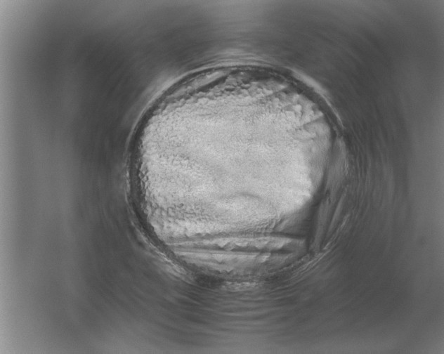 X0000062171415200512301633