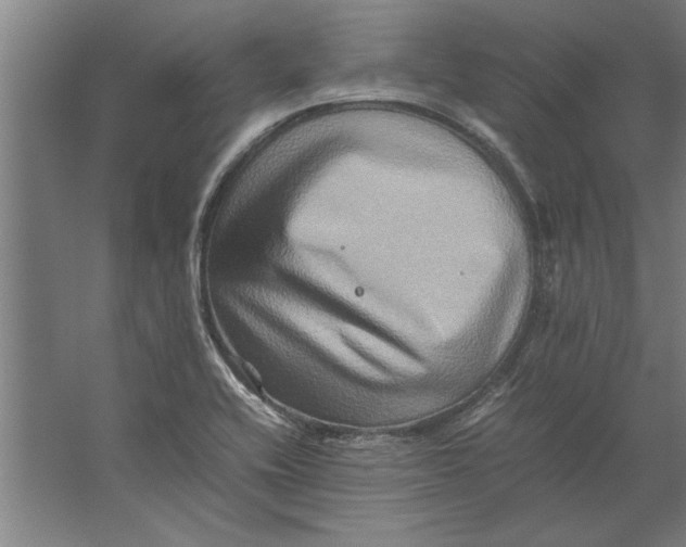 X0000062171416200512301633