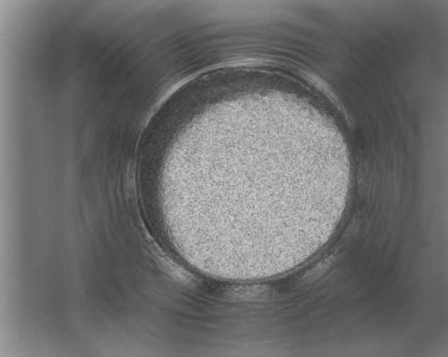 X0000062171417200512301633