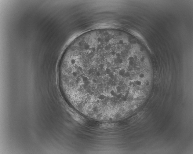 X0000062171419200512301633