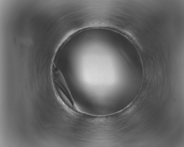 X0000062171422200512301633