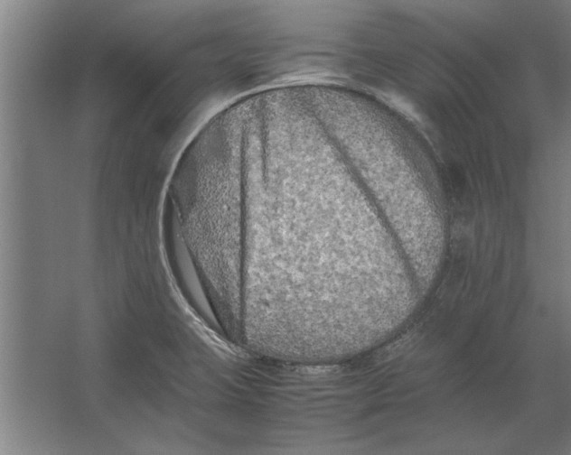 X0000062171423200512301633