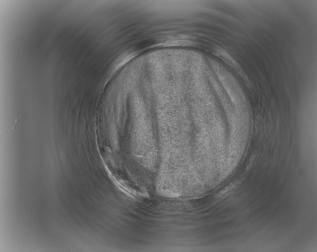 X0000062171425200512301633