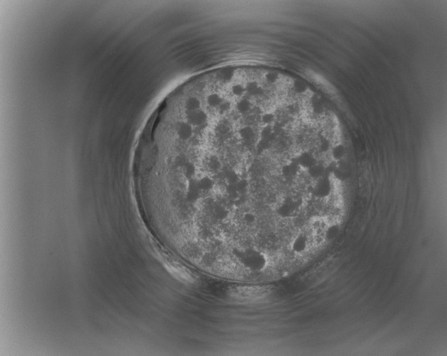 X0000062171427200512301633