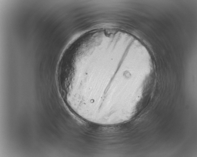 X0000062171429200512301634