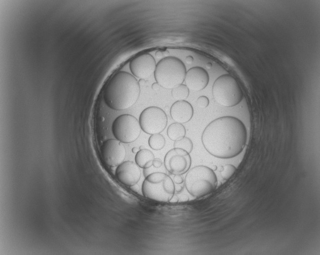 X0000062171432200512301634