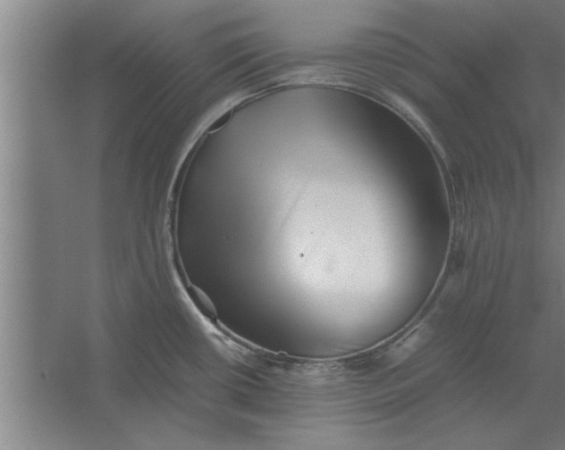 X0000062171434200512301634