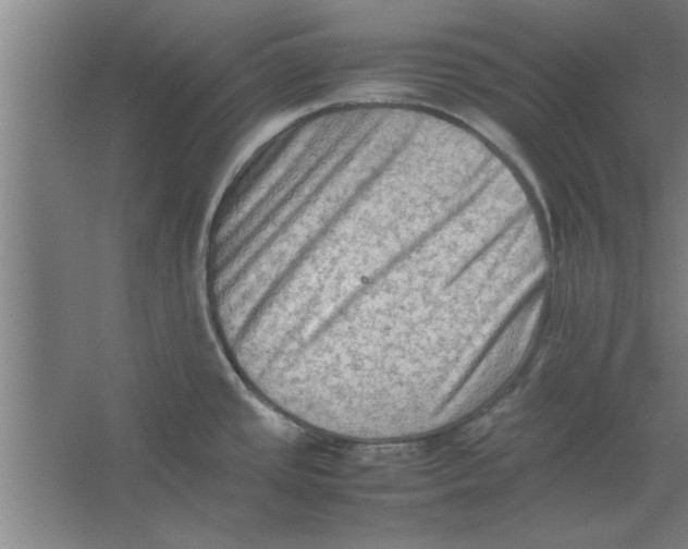 X0000062171437200512301634