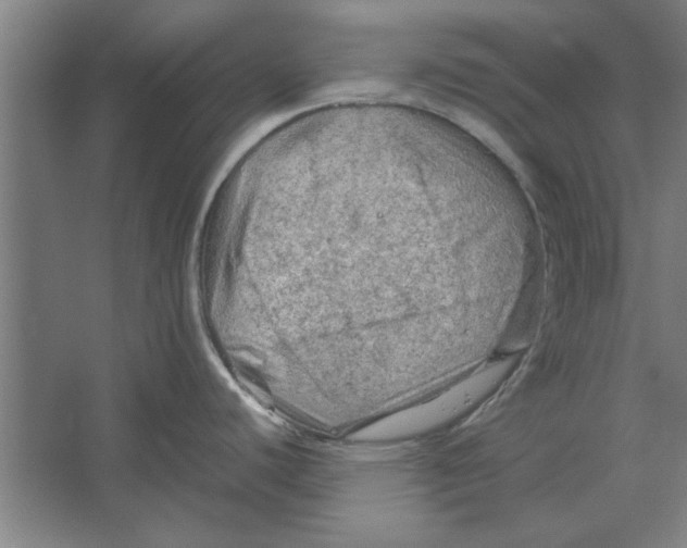 X0000062171440200512301634