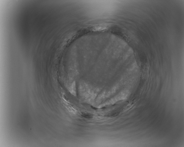 X0000062171441200512301633