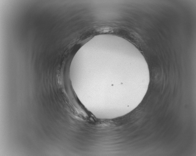 X0000062171442200512301633