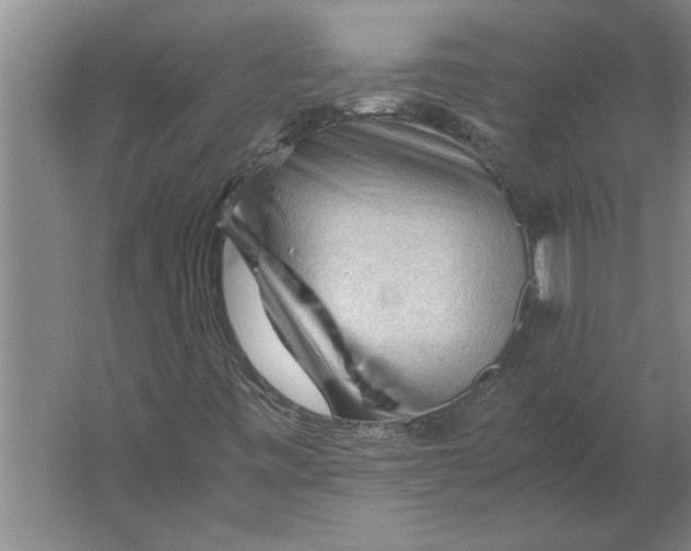 X0000062171443200512301633